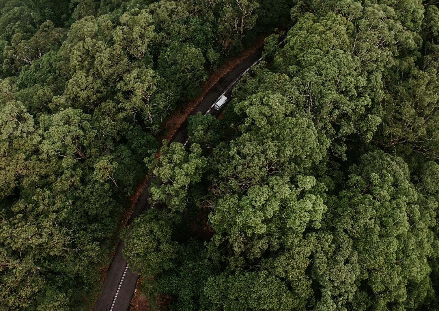 Eco-Driving – aus Erwartungen werden Möglichkeiten